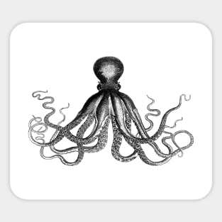 Octopus | Vintage Octopus | Tentacles | Sea Creatures | Nautical | Ocean | Sea | Beach | Black and White | Sticker